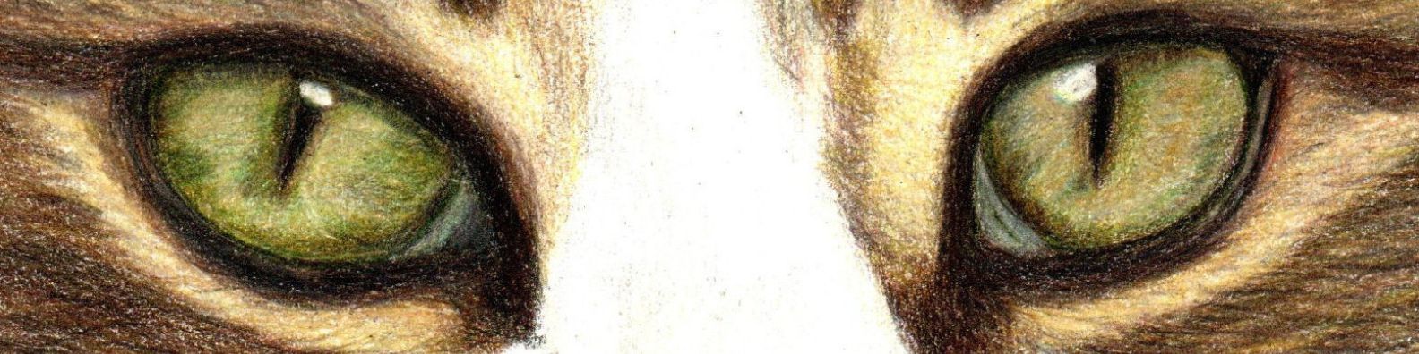 l’art et la méthode (17)