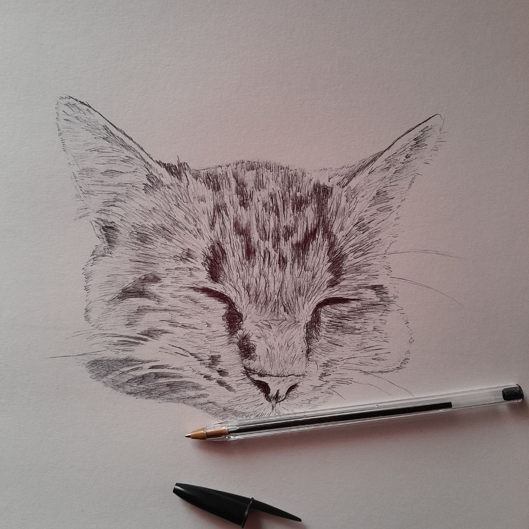 étape portrait de chat au stylo bic fait main