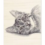 3 hand-drawn portrait commissions in Bic pen or fineliner (and what they really say) portrait chaton stylo bic