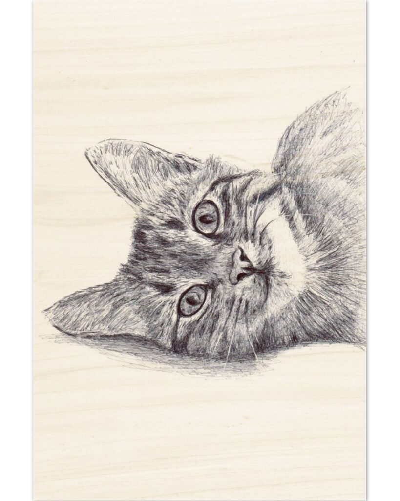 portrait chaton stylo bic