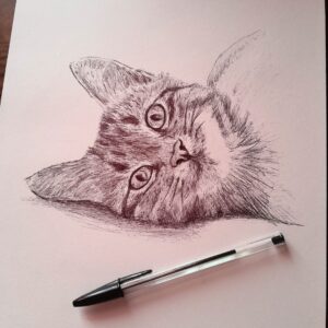 cat portrait bic